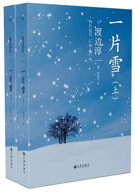 一片雪（全两册）PDF电子书下载