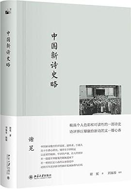 中国新诗史略PDF电子书下载