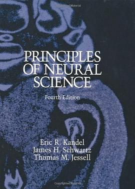 Principles of Neural SciencePDF电子书下载