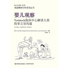 婴儿观察PDF电子书下载