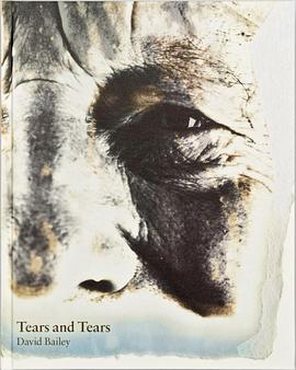 David Bailey: Tears and Tears戴维贝利：眼泪和眼泪 英文原版PDF电子书下载