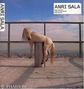 Anri Sala (Contemporary Artists (Phaidon))PDF电子书下载