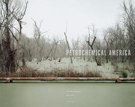 Petrochemical AmericaPDF电子书下载