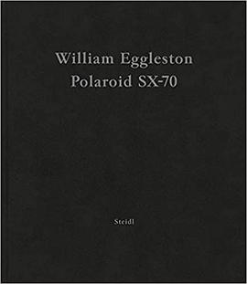 William Eggleston: Polaroid SX-70PDF电子书下载