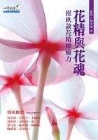 花精與花魂PDF电子书下载