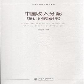 中国政府统计研究系列：中国收入分配统计问题研究PDF电子书下载