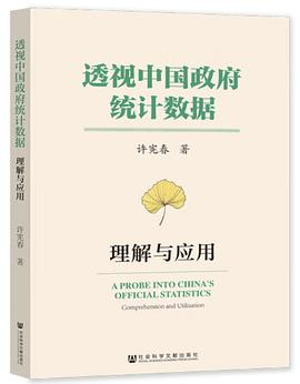 透视中国政府统计数据PDF电子书下载