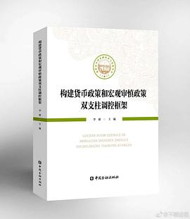 构建货币政策和宏观审慎政策双支柱调控框架PDF电子书下载