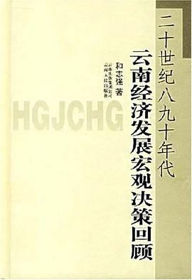 二十世纪八九十年代云南经济发展宏观决策回顾PDF电子书下载