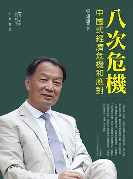 八次危機PDF电子书下载