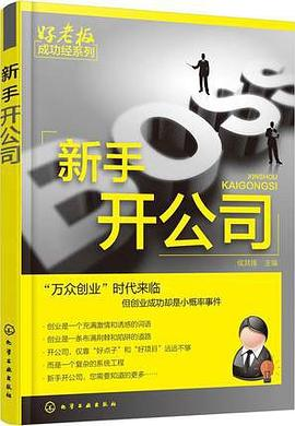 新手开公司PDF电子书下载