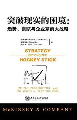 突破现实的困境：趋势、禀赋与企业家的大战略PDF电子书下载