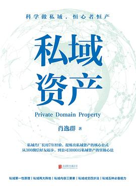 私域资产PDF电子书下载
