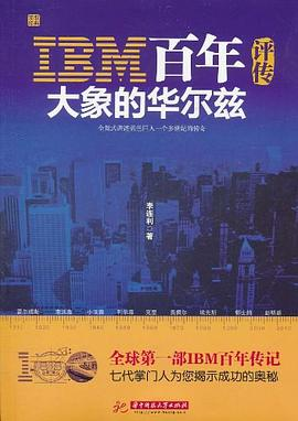 IBM百年评传PDF电子书下载