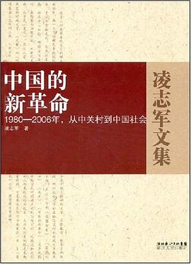 中国的新革命－1980－2006年，从中关村到中国社会PDF电子书下载