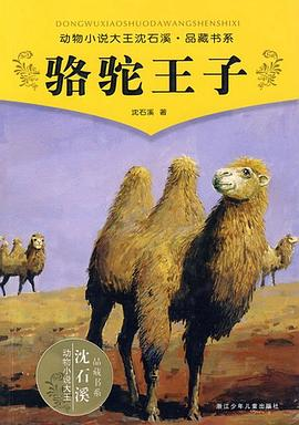 骆驼王子PDF电子书下载