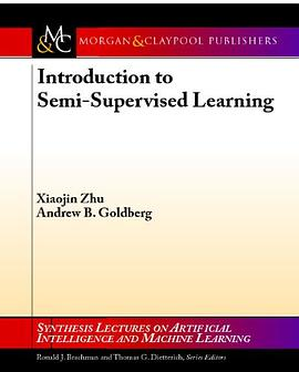 Introduction to Semi-Supervised LearningPDF电子书下载