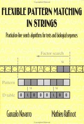 Flexible Pattern Matching in StringsPDF电子书下载