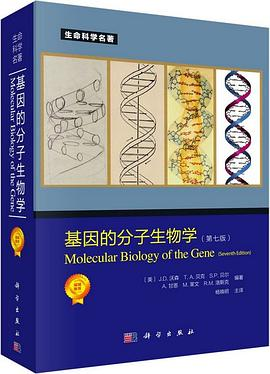 基因的分子生物学（第七版）PDF电子书下载