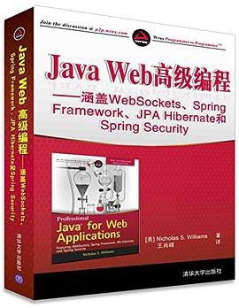 Java Web高级编程PDF电子书下载