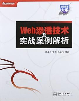 Web渗透技术及实战案例解析PDF电子书下载