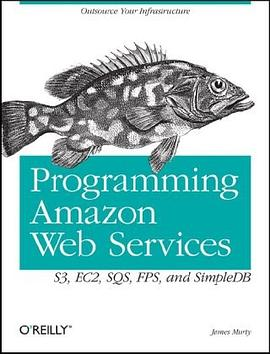 Programming Amazon Web ServicesPDF电子书下载