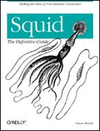 Squid: The Definitive GuidePDF电子书下载