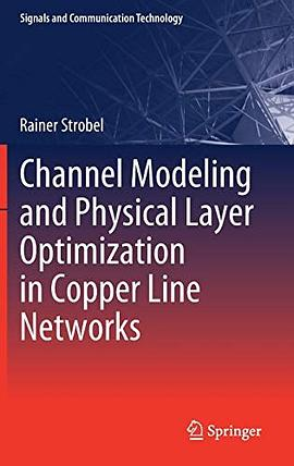 Channel Modeling and Physical Layer Optimization in Copper Line Networks