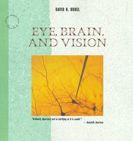 Eye, Brain, and Vision