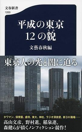 平成の東京12の貌PDF电子书下载