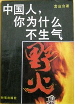 野火集PDF电子书下载