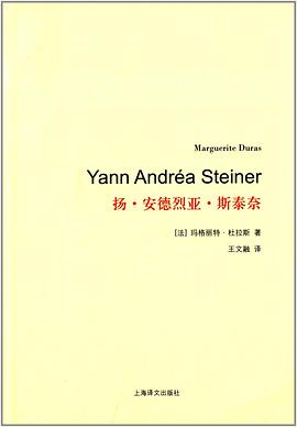 扬·安德烈亚·斯泰奈PDF电子书下载