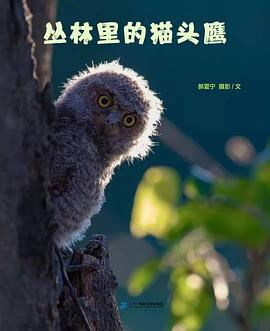 丛林里的猫头鹰PDF电子书下载