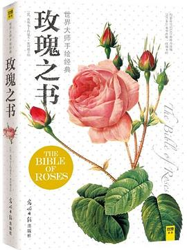 玫瑰之书PDF电子书下载