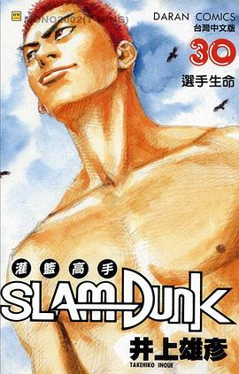 灌籃高手SlamDunk30PDF电子书下载