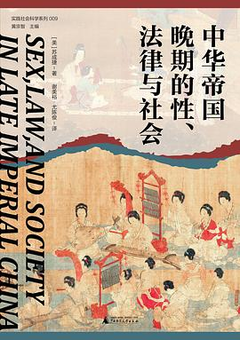 中华帝国晚期的性、法律与社会PDF电子书下载