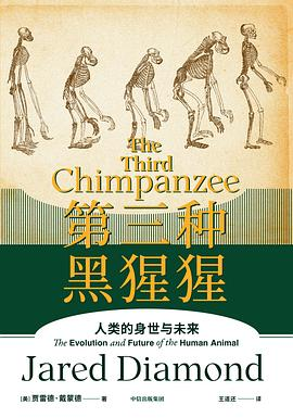 第三种黑猩猩PDF电子书下载