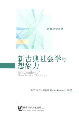新古典社会学的想象力PDF电子书下载