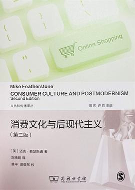 消费文化与后现代主义PDF电子书下载