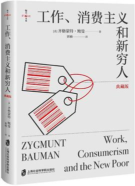 工作、消费主义和新穷人（典藏版）PDF电子书下载