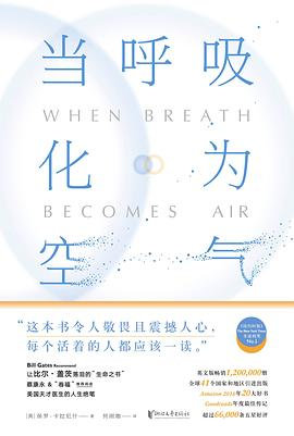 当呼吸化为空气PDF电子书下载