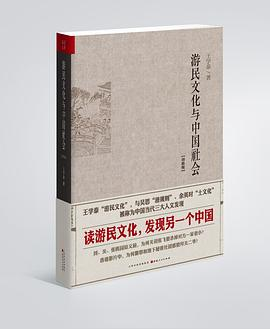 游民文化与中国社会（增修版）PDF电子书下载