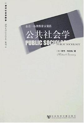公共社会学PDF电子书下载
