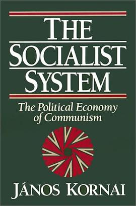 The Socialist SystemPDF电子书下载