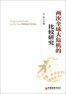 两次全球大危机的比较研究PDF电子书下载