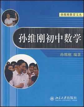 孙维刚初中数学PDF电子书下载