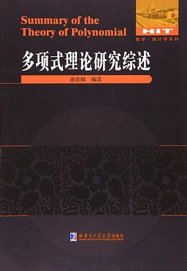 多项式理论研究综述PDF电子书下载