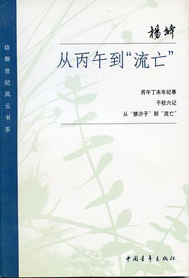 从丙午到“流亡”PDF电子书下载