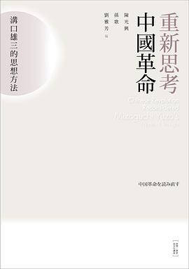 重新思考中國革命PDF电子书下载