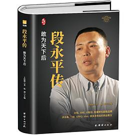 段永平传PDF电子书下载